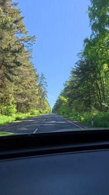 по Куршской косе