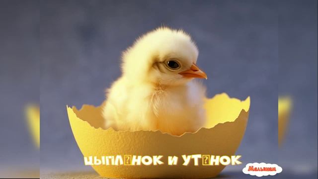 Сказка Мультфильм Цыплёнок и утёнок| Сутеев|АудиоСказка|народные|детские|рассказ|онлайн|мультфильм| смотреть онлайн