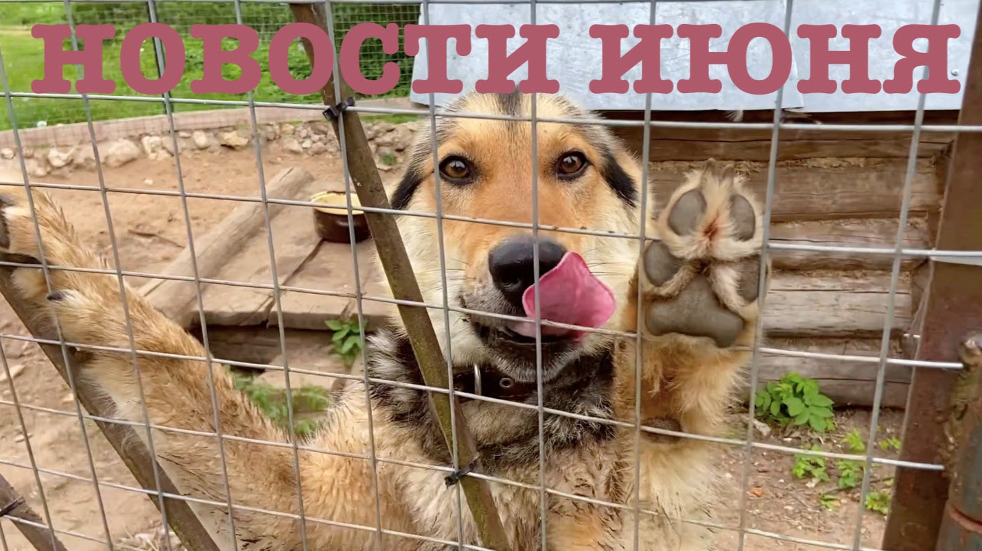 #176. Новости, хорошие и не очень...[Жизнь на своей земле]