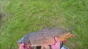 ОТ ТАКОГО САЗАНА ДУГИ ТРЕЩЯЛИ!!! ВЕСЕНИЙ САЗАН НА ПАУК.