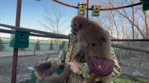 Люся В ШОКЕ! Первое знакомство с будущим МУЖЕМ состоялось