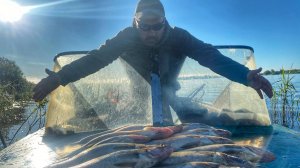 Ночная ловля судака на троллинг на реке Свирь | Бешеный клев судака 2020