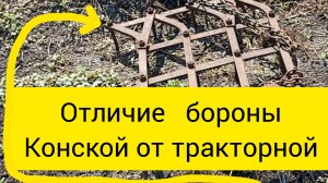 Прополка картофеля мотоблоком с бороной