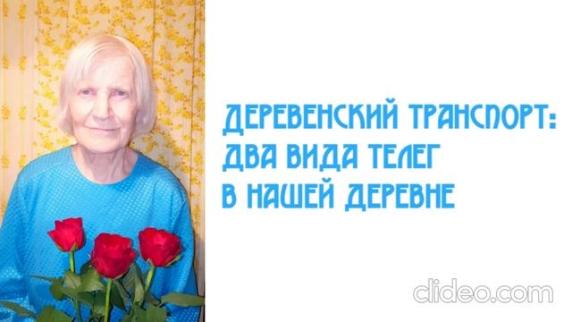 Деревенский транспорт: два вида телег в нашей деревне