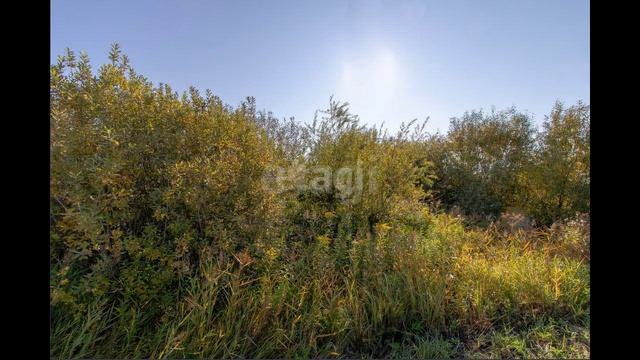 2459247 смотреть онлайн