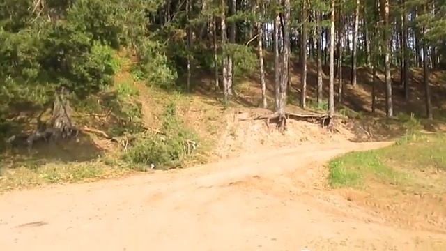 Девчурочка загадка - Автор Светлана Белявская музыка и поёт Феликс Царикати смотреть онлайн