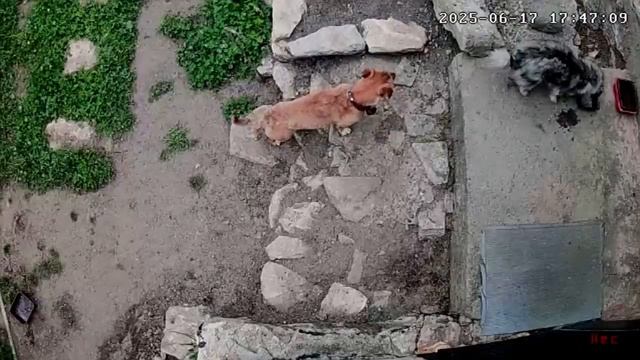 17,18 июня 2025г. Дожди не дают работать) смотреть онлайн