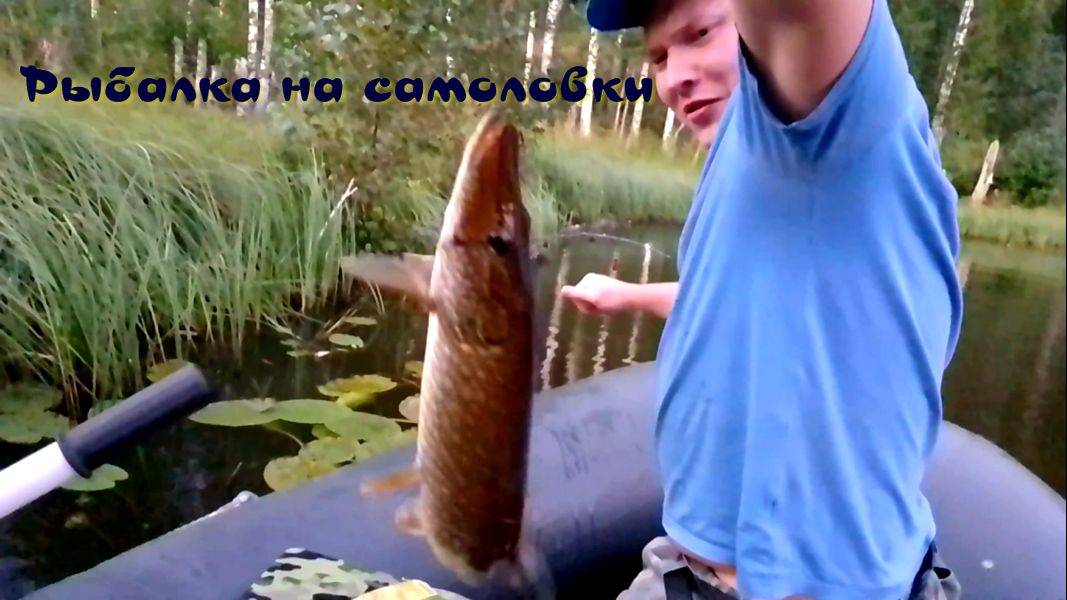 Рыбалка в Карелии. Отдых и путешествие. Рыбалка на самоловки смотреть онлайн