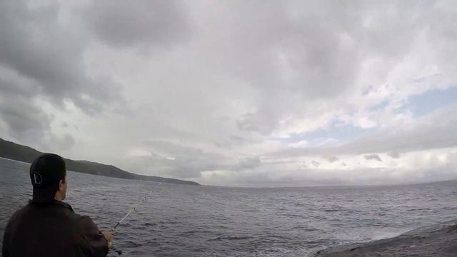 Catching Fish Using Cutlery!