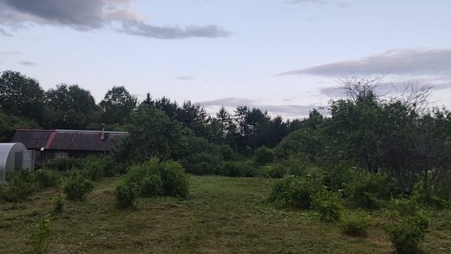 1000466111.mp4 смотреть онлайн