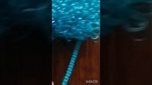 СП "Вкусные мочалки 2025" Отчёт за июнь 2025 г.