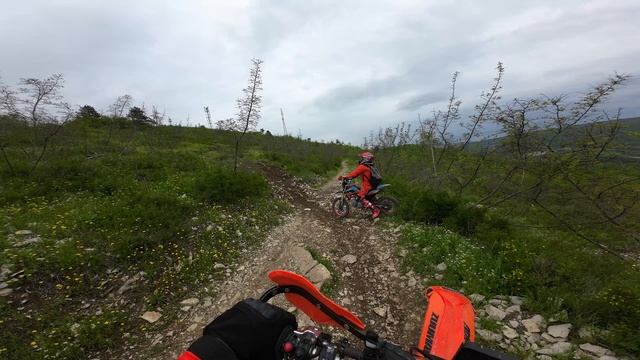 03 05 2025 (3) смотреть онлайн