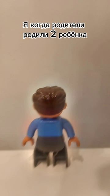 Я когда родители родили 2 ребёнка