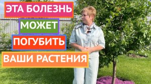 ЧЕМ ОПСАЕН МОНИЛИОЗ И КАК ОТ НЕГО ИЗБАВИТЬСЯ!