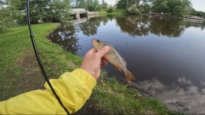 НАШЕЛ СТАЮ ГОЛОДНЫХ ОКУНЕЙ🐟🐠🦐 #спиннинг #наноджиг