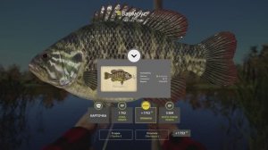 Русская рыбалка 4 Трофейный Вармоус озеро Лосиное