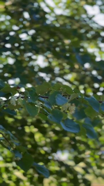 Эстетика университетского кампуса ЛГТУ смотреть онлайн