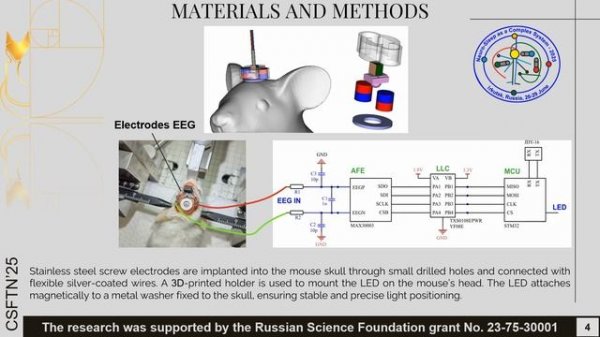 Development of an EEG System for Small Animals with Embedded Photobiomodulation