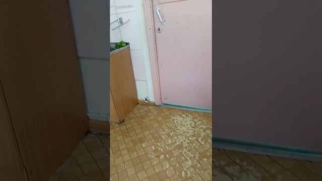 бэкрумс в моей школе 3