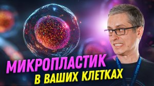 Чем опасен микропластик? | Владимир Шипелин | Ученые против мифов 24-3