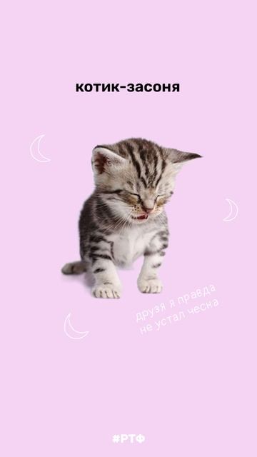 А какой ты котик? смотреть онлайн