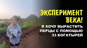 Мой первый урожай. Раскрываю секрет суперперцев!