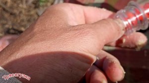 Карась в Мариуполе