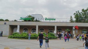 ,,Ленинградский зоопарк» Санкт- Петербург июнь 2025