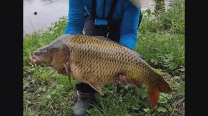 Карп 10 кг+   рыбалка с дикой воды -адреналин и кайф 🤗💪🎣В общем, эмоции накрывают