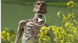 28 лет спустя (2025) % русский сериал 19 июня 2025