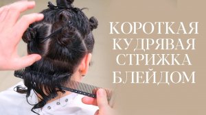 DEMETRIUS | Короткая КУДРЯВАЯ стрижка БЛЕЙДОМ | Стрижка на густые кудрявые волосы