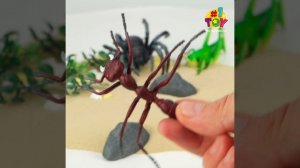 Т53857 Насекомые