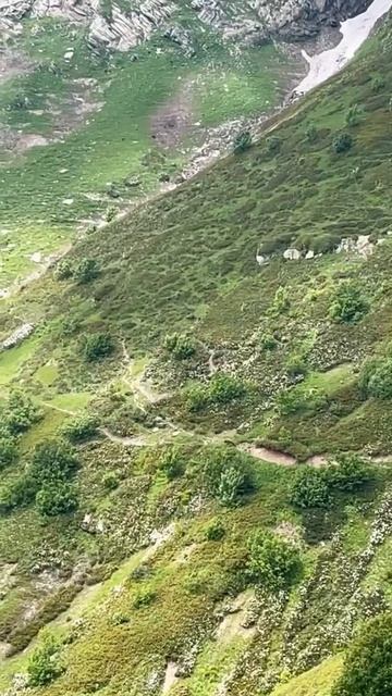 🐻 Медведь убежал от восторженной туристки в горах СКФО. А девушка так ждала косолапого… смотреть онлайн