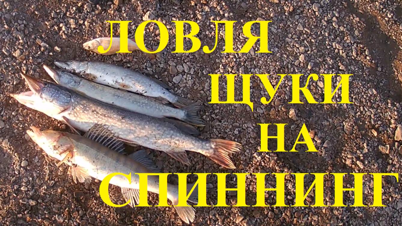 Рыбалка спиннингом на щуку смотреть онлайн