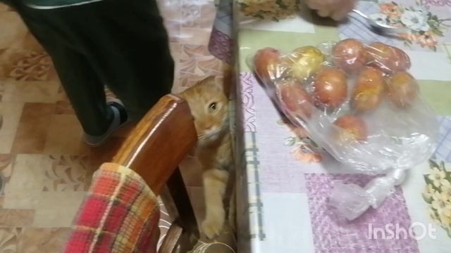 Готовим картошку в мундире в микроволновке смотреть онлайн