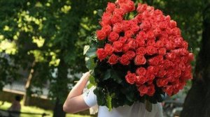 Песня "Миллион алых роз" Кавер