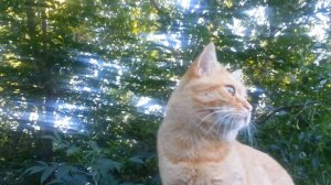 Лето. Часть 2