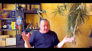 Как завтрашний искусственный интеллект написал вчерашнюю Библию?