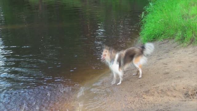 Лета 2020 август Нерская   4