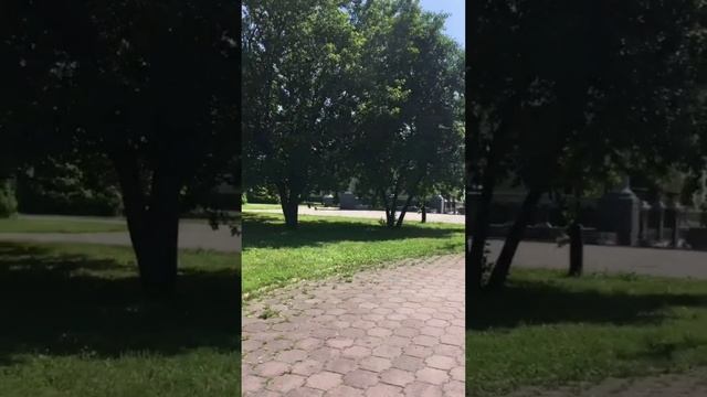 БЛАГОДАРНЫЙ ОТЗЫВ ОТ ЕВГЕНИЯ О КОЛЯСКЕ OTTO BOCK C1000 смотреть онлайн