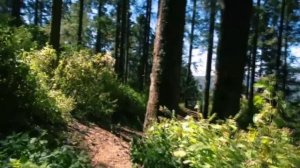 Красивый пейзаж. Сергей Чекалин.