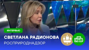 Светлана Радионова: Росприроднадзор собрал более 20 млрд рублей штрафов | ПМЭФ-2025
