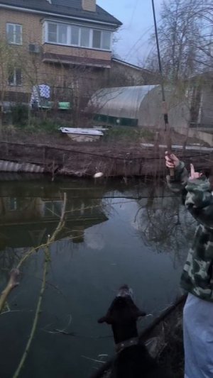 Четверг - рыбный день