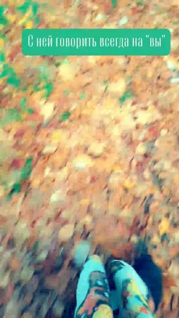 Красота Петербургского ботанического сада