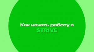 Как начать работу в Strive?