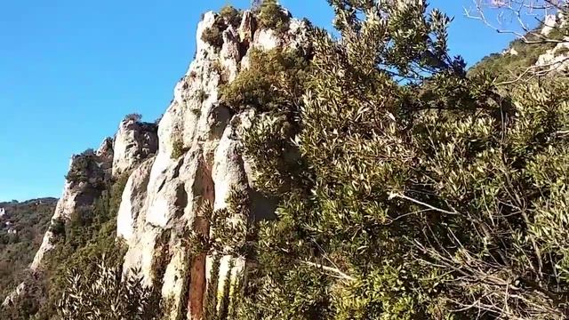 Афон. Год вечности. Монах Салафиил (Филипьев). смотреть онлайн