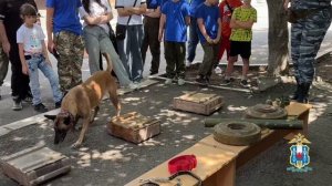 Ростовские кинологи открыли двери для юных гостей