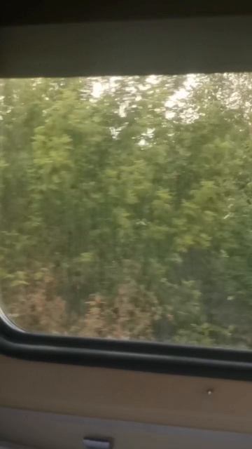 Дорога домой) смотреть онлайн