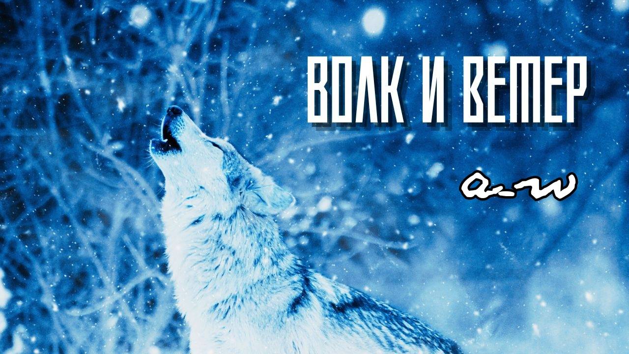 аНДРЕЙ жАБИН - Волк и ветер смотреть онлайн