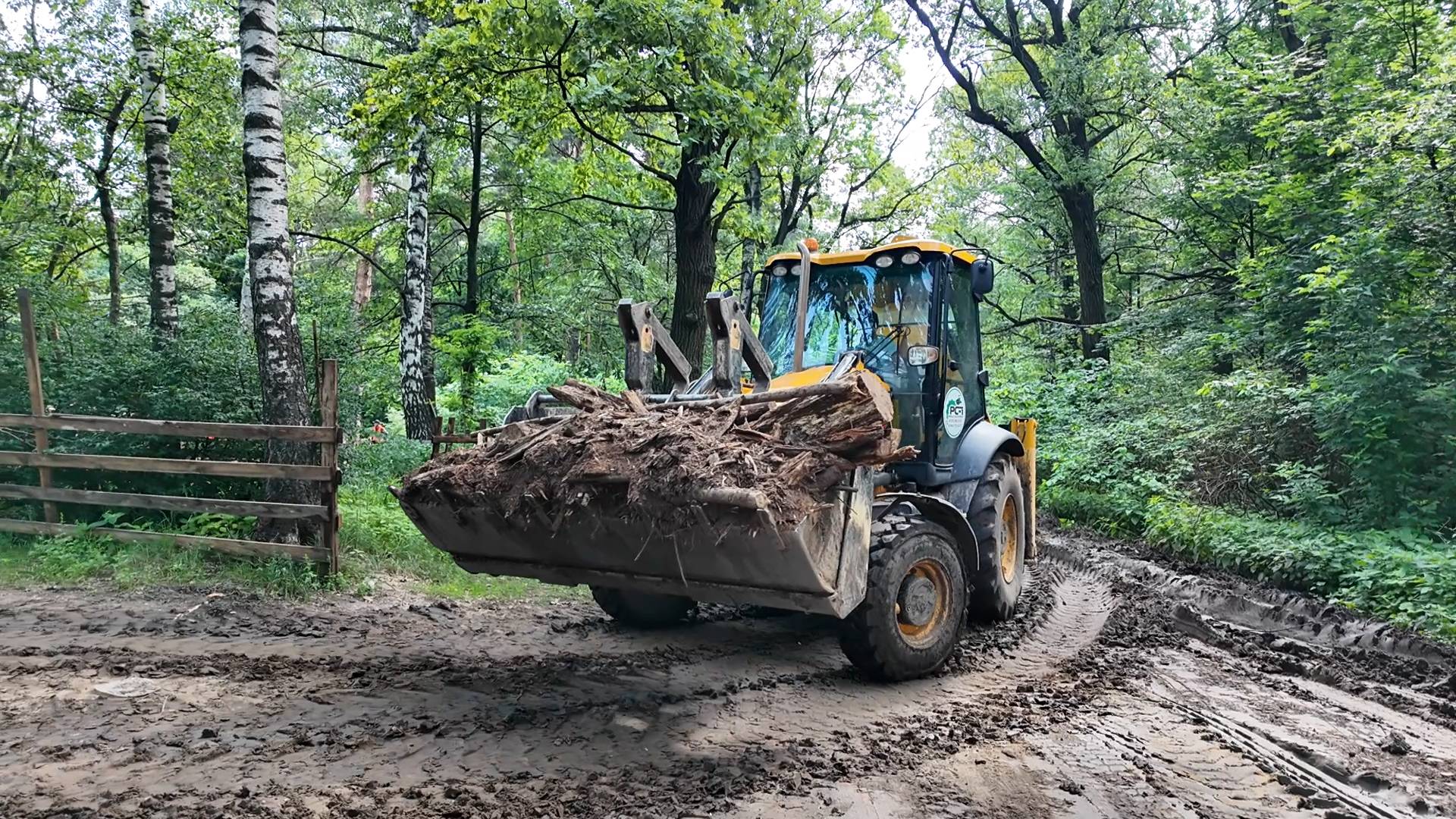 Благоустройство Томилинского лесопарка идет по графику